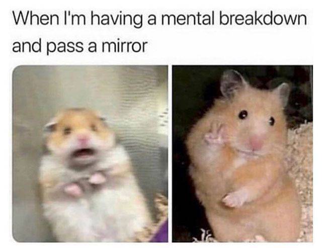 Daily Pictures. Part 2 (64 pics) Daily Pictures. Part 2 (64 pics)