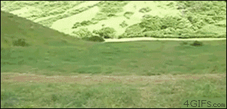 Acid GIFs, November 11 (25 gifs)