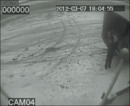 Acid GIFs, November 11 (25 gifs)