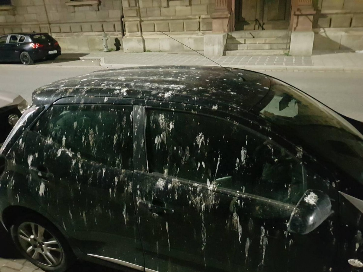 Bad Days Happen (20 pics)