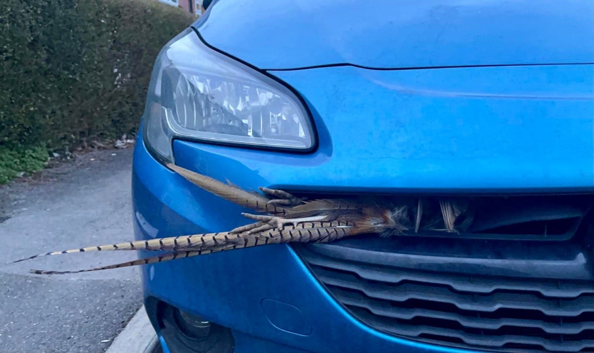 Bad Days Happen (20 pics)