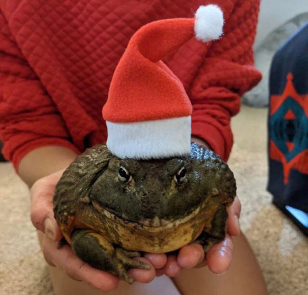 Giant Things (22 pics)