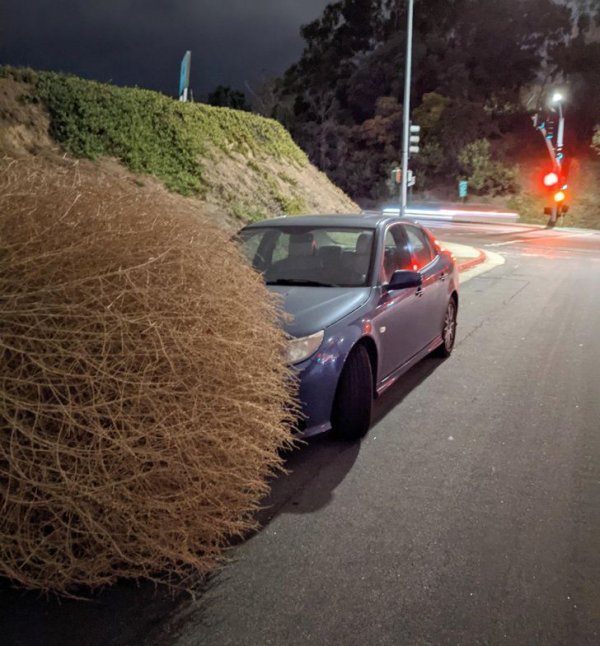 Giant Things (22 pics)