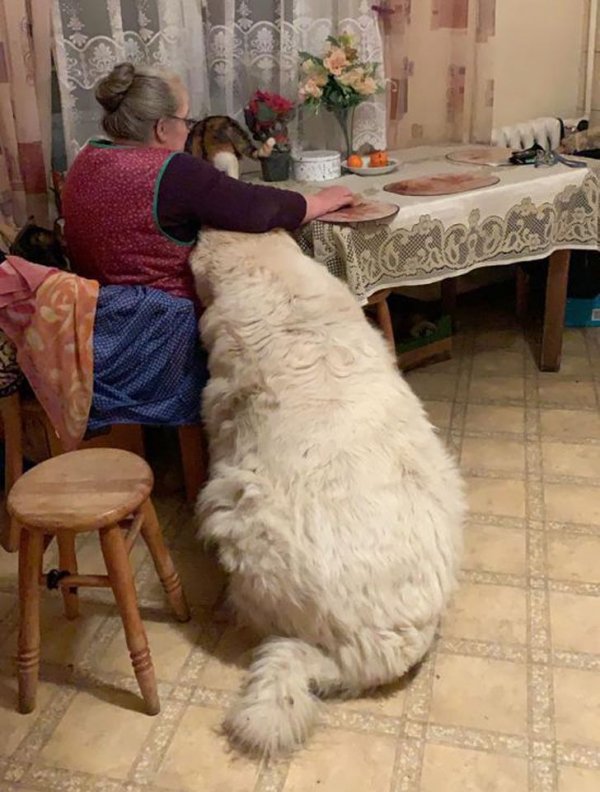 Giant Things (22 pics)