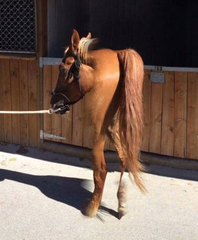 Funny Panoramic Photos (23 pics)