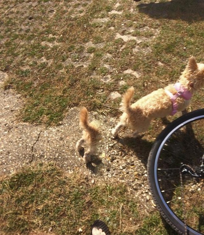 Funny Panoramic Photos (23 pics)