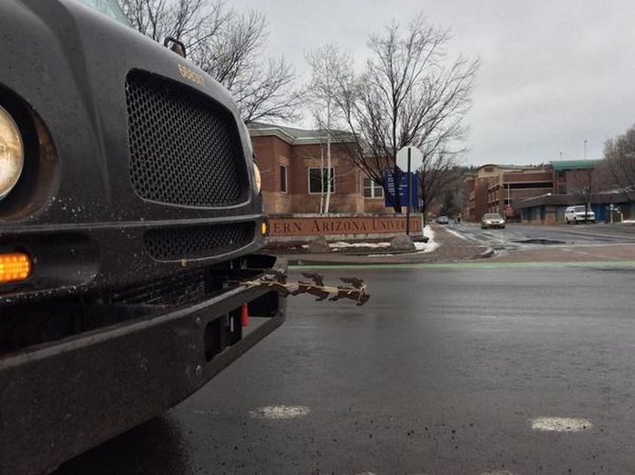 Daily Pictures. Part 1 (64 pics)