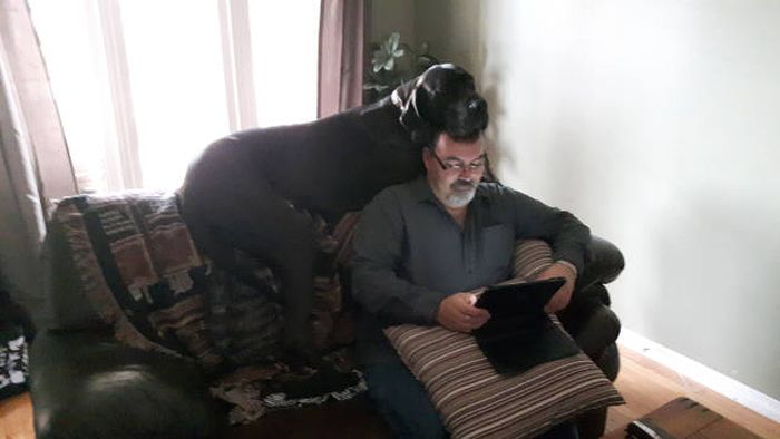 Daily Pictures. Part 1 (64 pics)