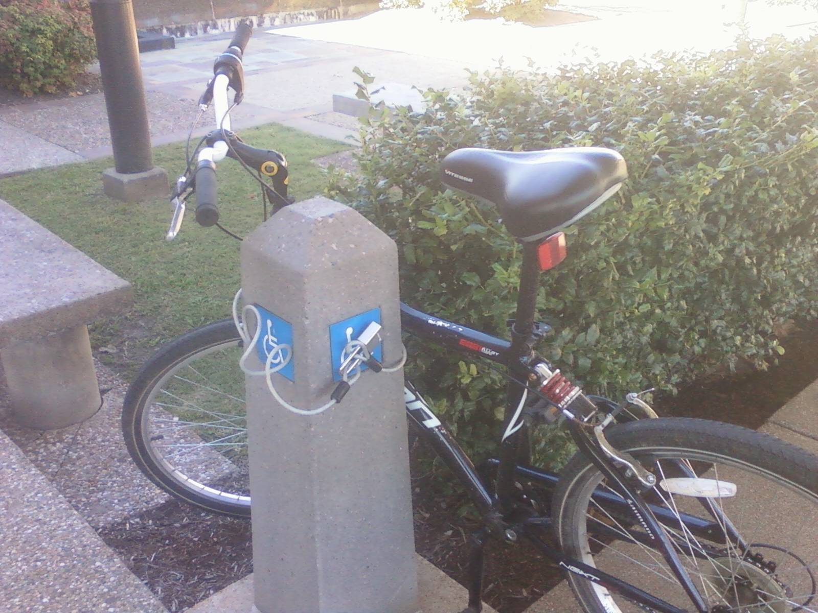 Daily Pictures. Part 1 (64 pics)