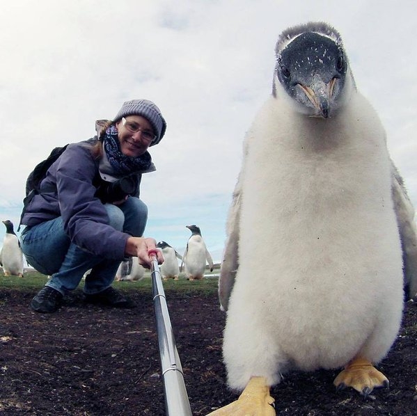 Daily Pictures. Part 1 (64 pics)