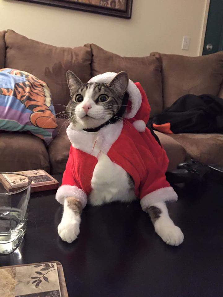 Daily Pictures. Part 1 (64 pics)