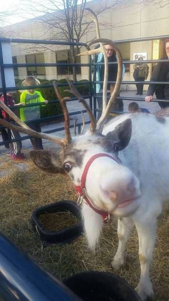 Daily Pictures. Part 1 (64 pics)