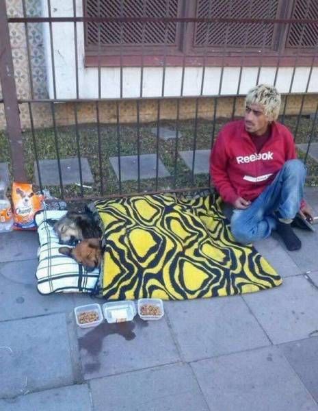 Daily Pictures. Part 1 (64 pics)