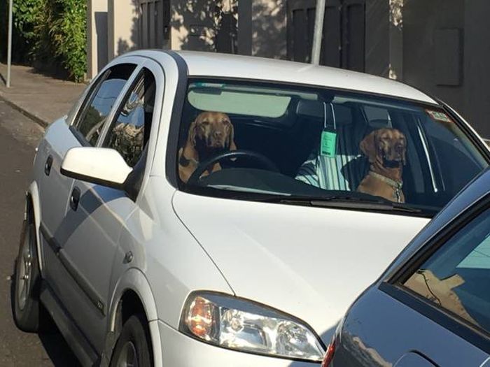 Daily Pictures. Part 1 (64 pics)