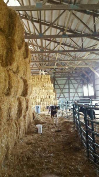 Daily Pictures. Part 1 (64 pics)