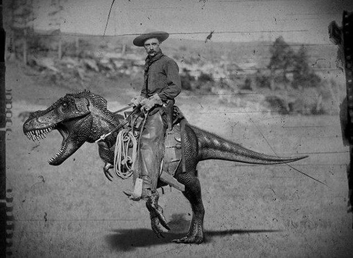 Daily Pictures. Part 1 (64 pics)