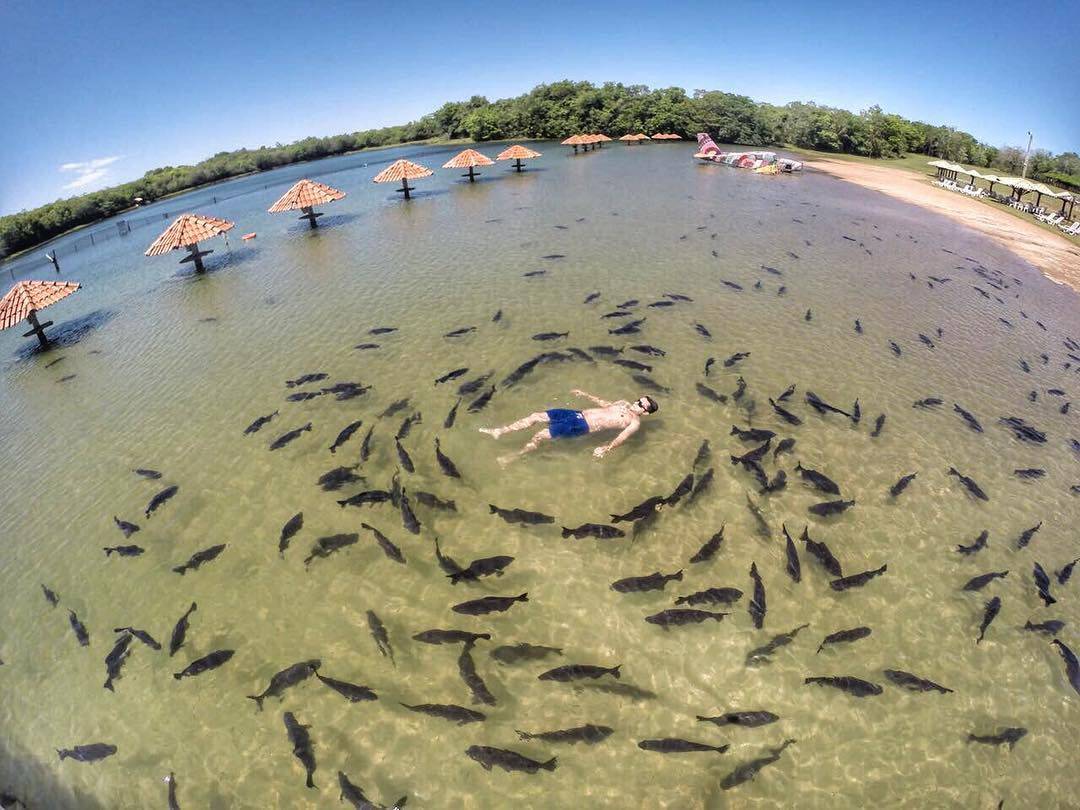 Daily Pictures. Part 2 (63 pics) Daily Pictures. Part 2 (63 pics)