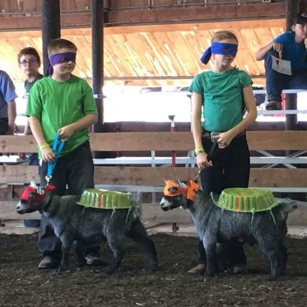 Daily Pictures. Part 1 (64 pics)