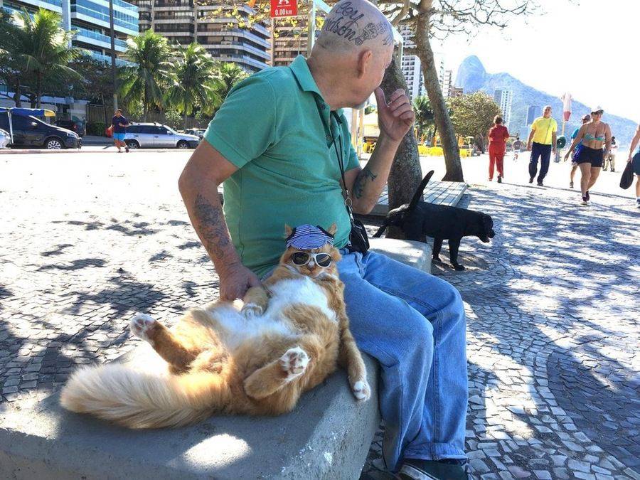 Daily Pictures. Part 2 (63 pics) Daily Pictures. Part 2 (63 pics)