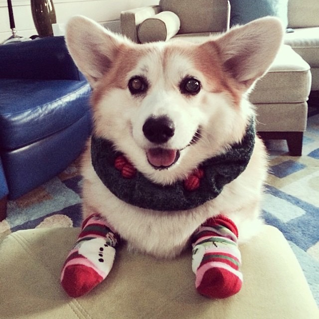 Daily Pictures. Part 1 (64 pics)