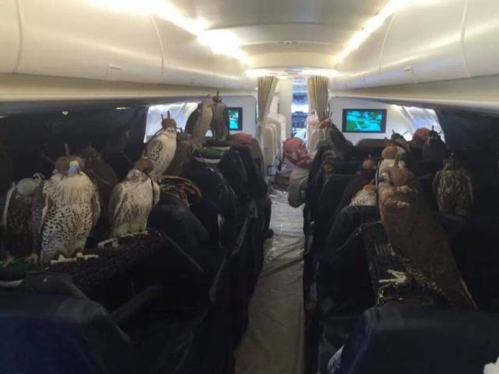 Daily Pictures. Part 1 (64 pics)