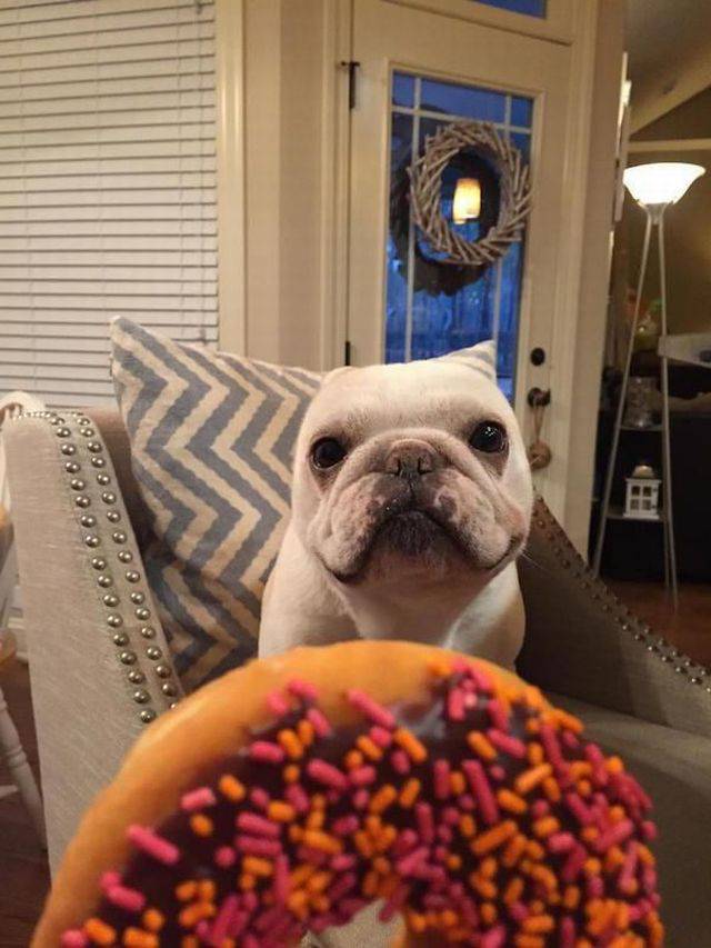 Daily Pictures. Part 2 (63 pics) Daily Pictures. Part 2 (63 pics)