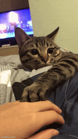 Acid GIFs, November 12 (25 gifs)