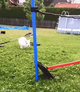 Acid GIFs, November 12 (25 gifs)