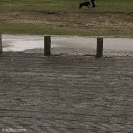 Acid GIFs, November 12 (25 gifs)