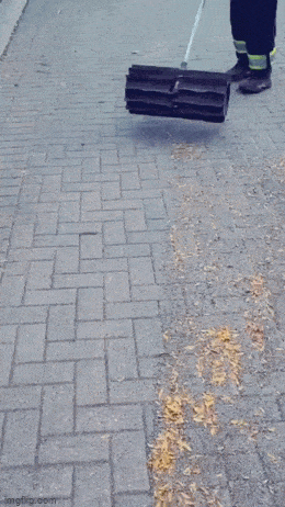 Acid GIFs, November 12 (25 gifs)