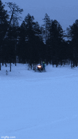 Acid GIFs, November 12 (25 gifs)