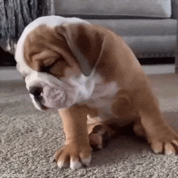 Acid GIFs, November 12 (25 gifs)