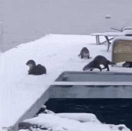 Acid GIFs, November 12 (25 gifs)