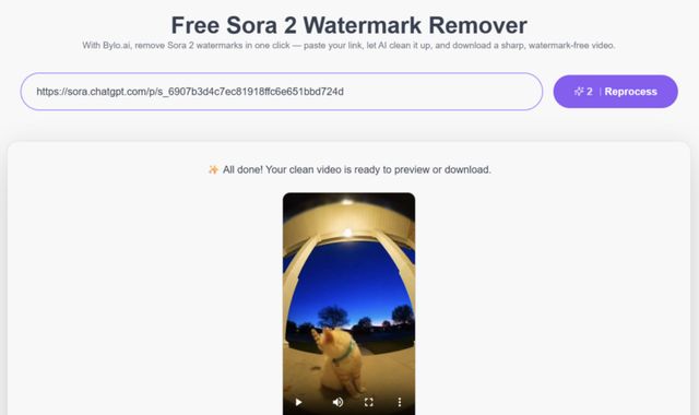 Free Sora Watermark Remover: Eliminate Watermarks from Sora AI Videos on Bylo.ai