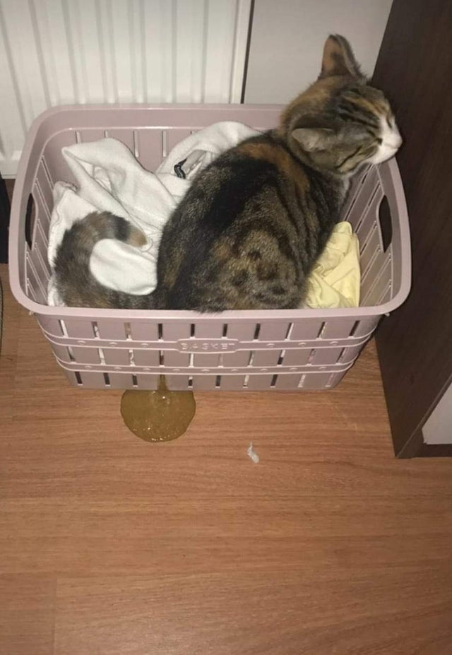 Unfortunate Situations (20 pics) Unfortunate Situations (20 pics)