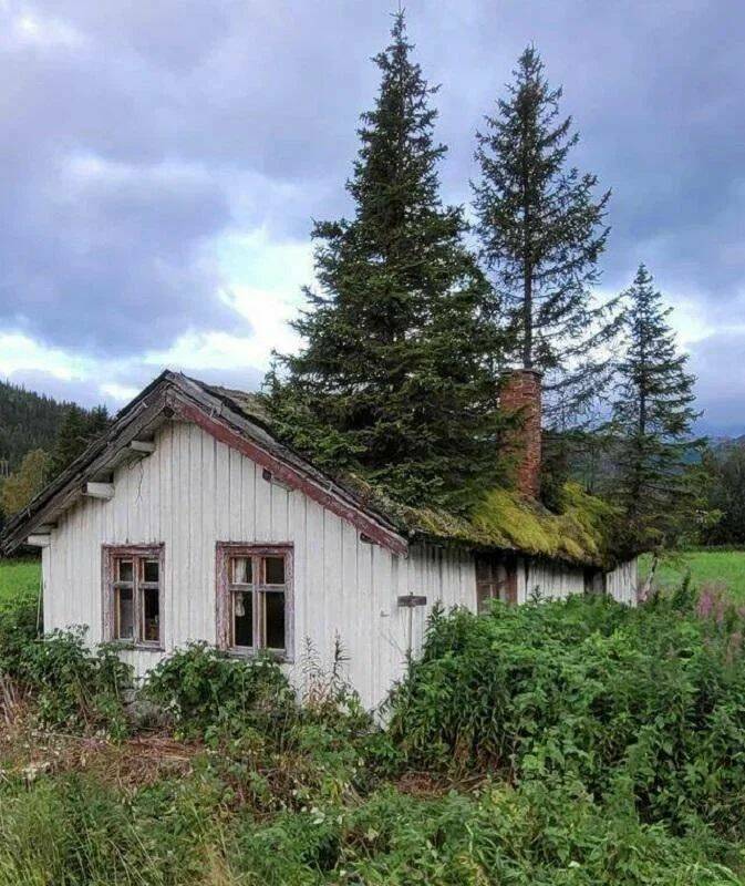 Daily Pictures. Part 1 (72 pics)