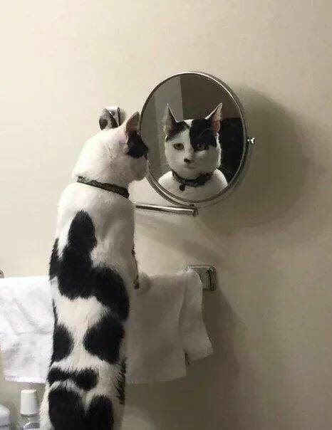 Daily Pictures. Part 1 (72 pics)