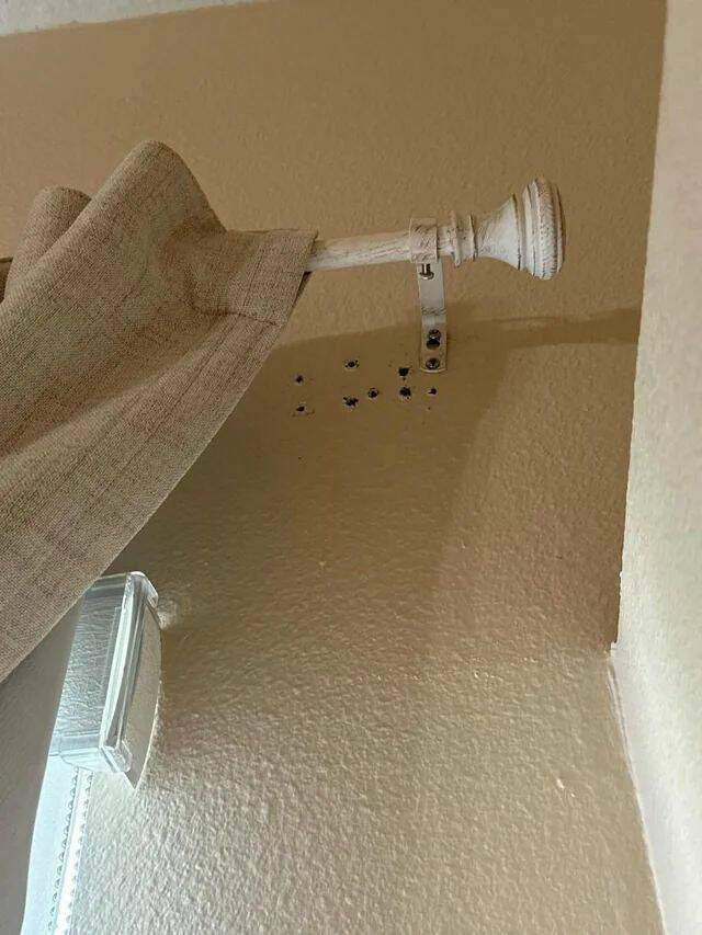 Daily Pictures. Part 1 (72 pics)