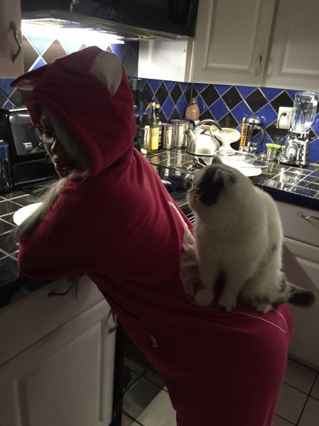 Daily Pictures. Part 1 (72 pics)