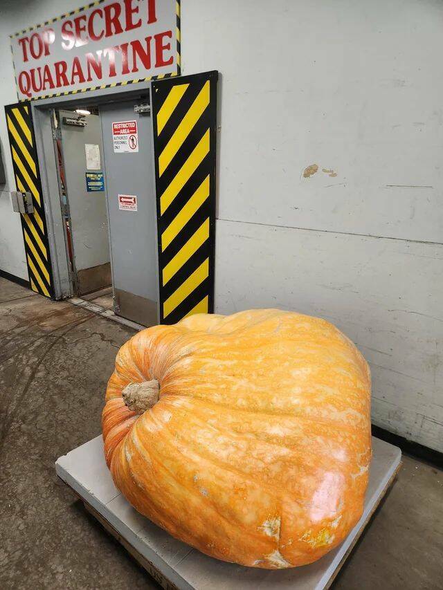 Daily Pictures. Part 1 (72 pics)