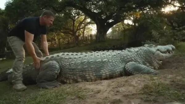 Daily Pictures. Part 1 (72 pics)