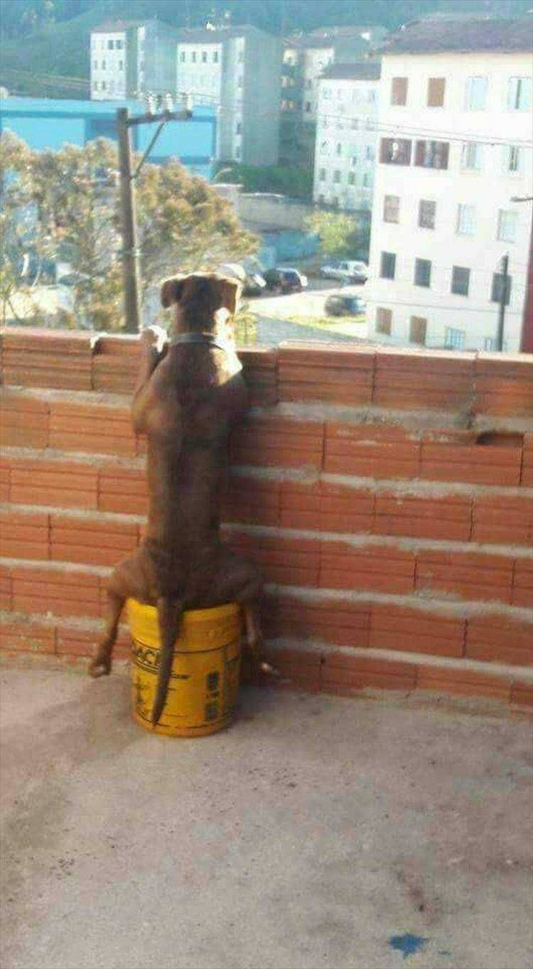 Daily Pictures. Part 1 (72 pics)