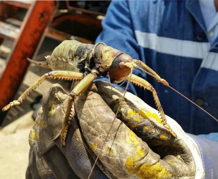 Daily Pictures. Part 1 (72 pics)