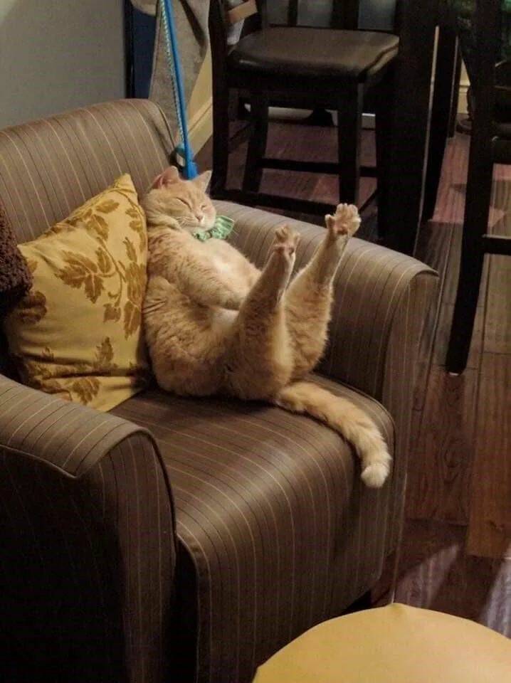 Daily Pictures. Part 1 (72 pics)