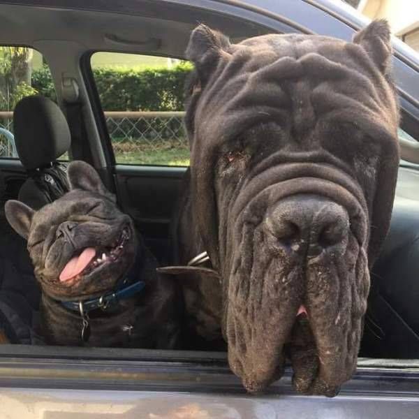 Daily Pictures. Part 1 (72 pics)