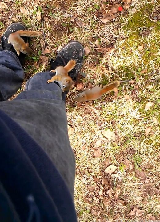 Daily Pictures. Part 1 (72 pics)