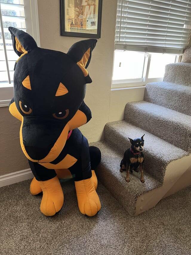 Daily Pictures. Part 1 (72 pics)