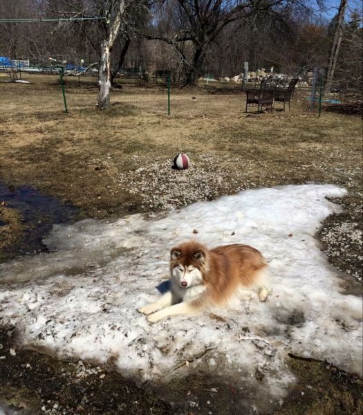 Daily Pictures. Part 1 (72 pics)