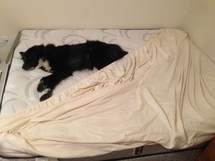 Daily Pictures. Part 2 (71 pics) Daily Pictures. Part 2 (71 pics)