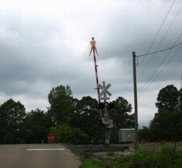 Daily Pictures. Part 2 (71 pics) Daily Pictures. Part 2 (71 pics)